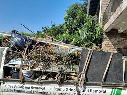 Best Property Management Cleanouts  in Keokuk, IA